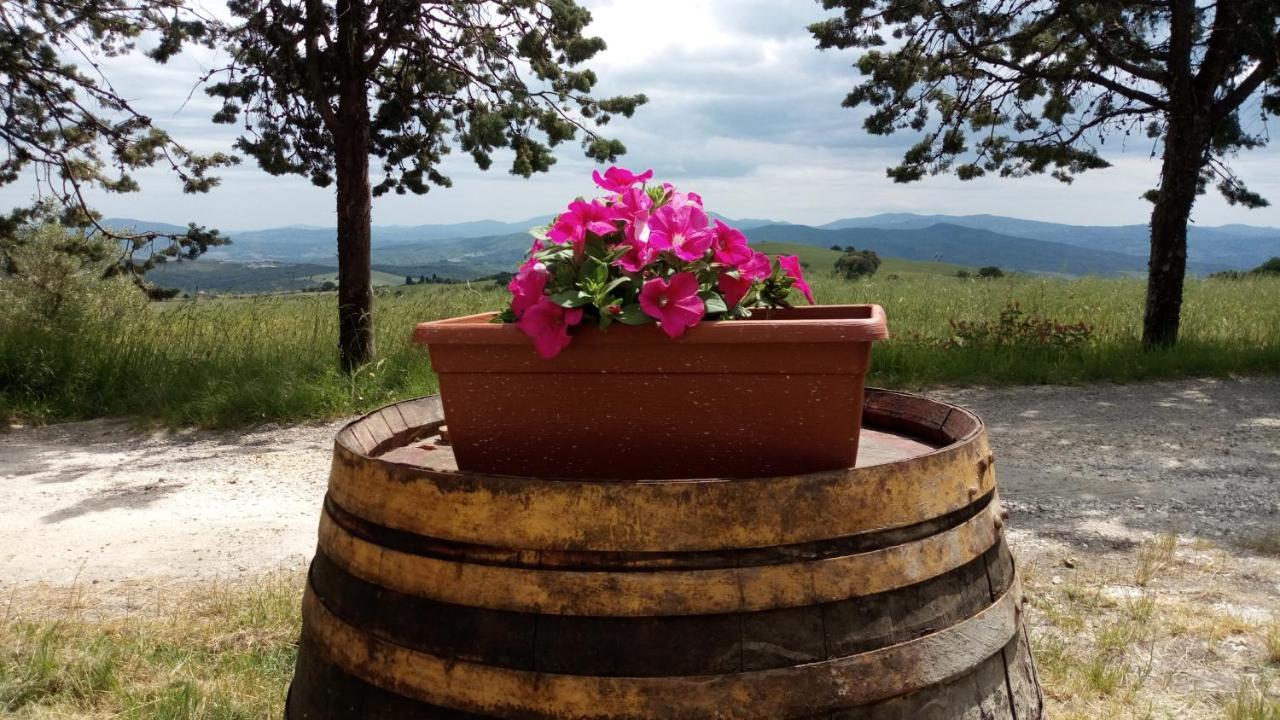La Pecora Verde San Gimignano Eksteriør billede