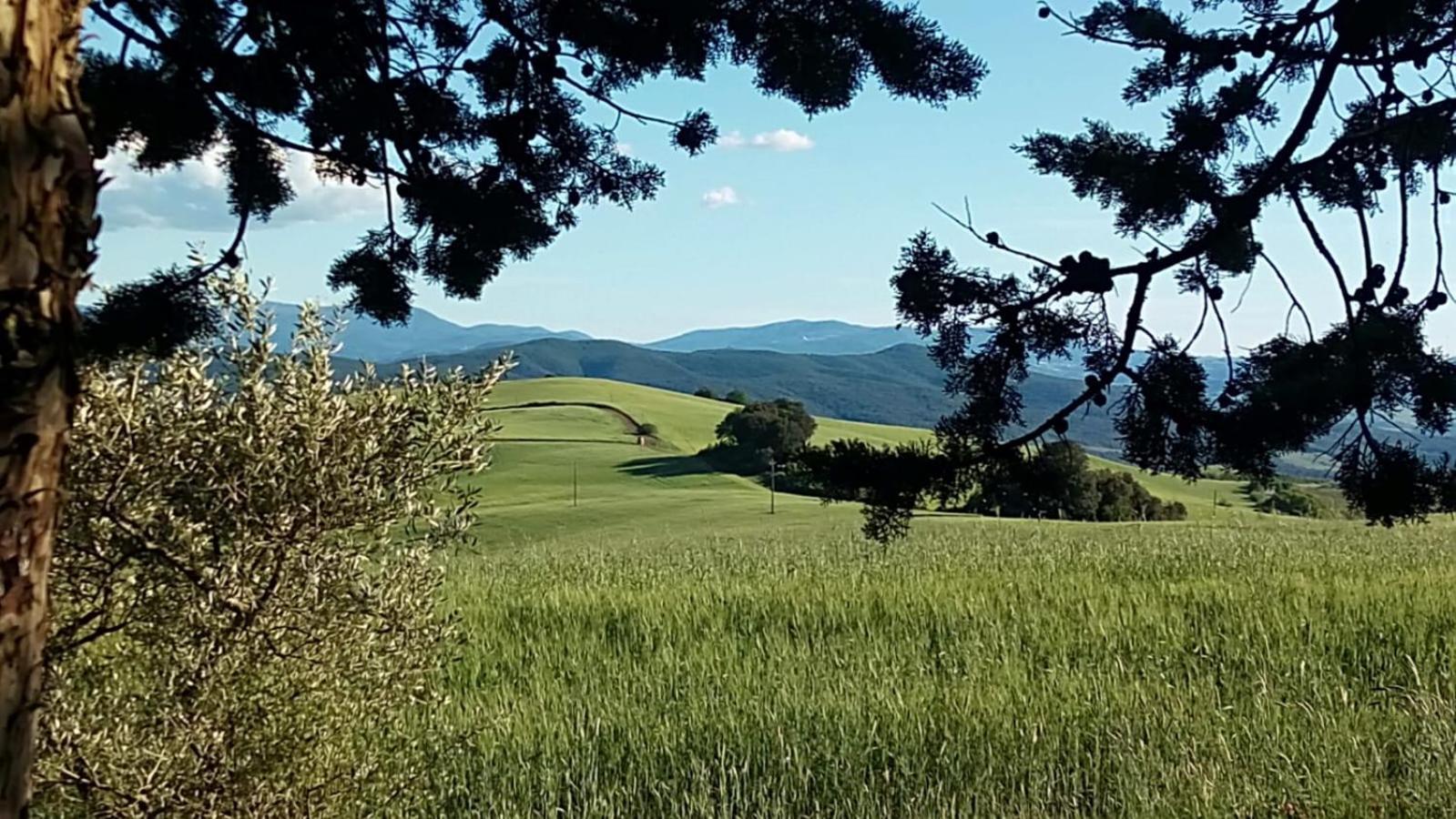 La Pecora Verde San Gimignano Eksteriør billede